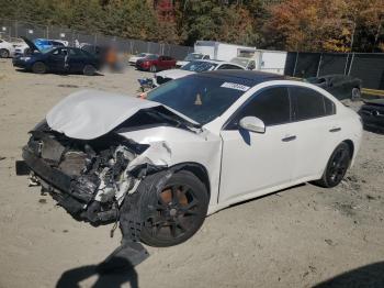  Salvage Nissan Maxima