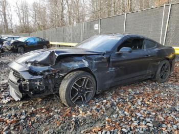  Salvage Ford Mustang