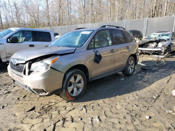  Salvage Subaru Forester