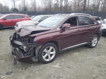  Salvage Lexus RX