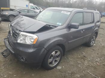  Salvage Honda Pilot