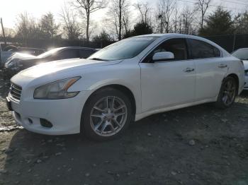  Salvage Nissan Maxima