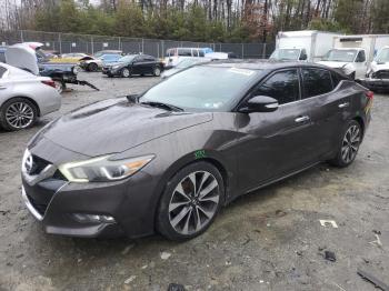  Salvage Nissan Maxima