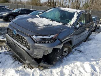  Salvage Toyota RAV4