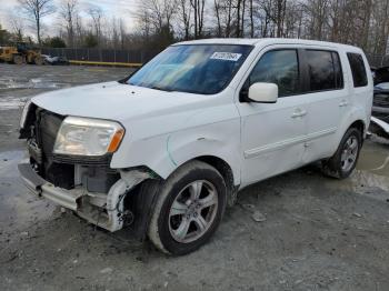  Salvage Honda Pilot