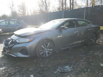  Salvage Nissan Maxima