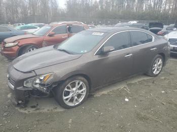  Salvage Nissan Maxima