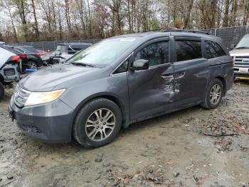  Salvage Honda Odyssey