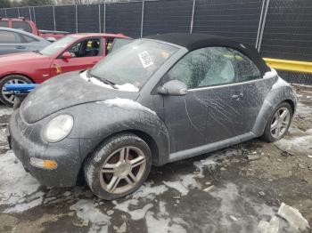  Salvage Volkswagen Beetle