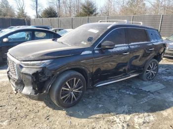  Salvage INFINITI Qx