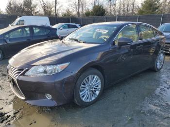  Salvage Lexus Es