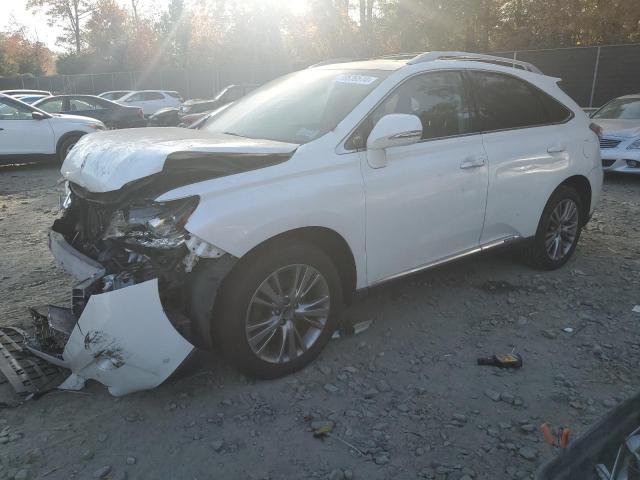  Salvage Lexus RX