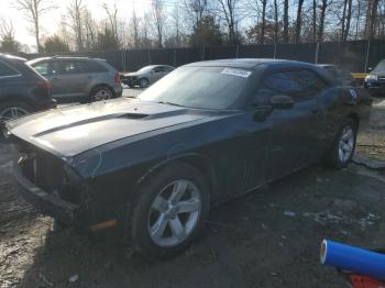  Salvage Dodge Challenger