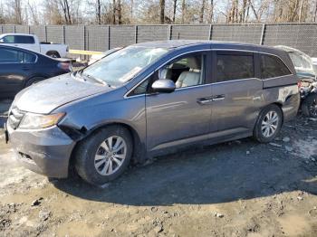  Salvage Honda Odyssey