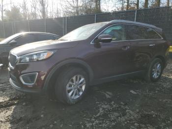  Salvage Kia Sorento