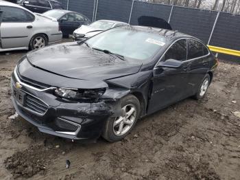  Salvage Chevrolet Malibu