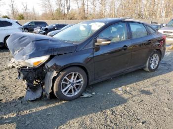  Salvage Ford Focus