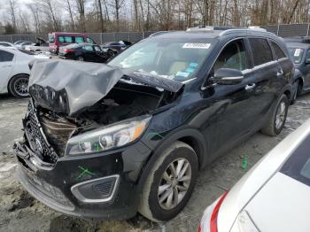  Salvage Kia Sorento