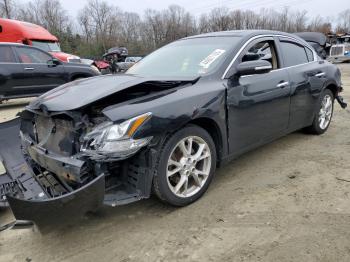  Salvage Nissan Maxima