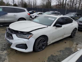  Salvage Acura TLX