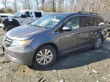  Salvage Honda Odyssey