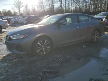  Salvage Nissan Maxima