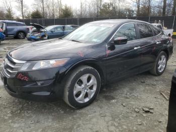  Salvage Honda Crosstour