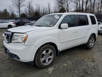  Salvage Honda Pilot