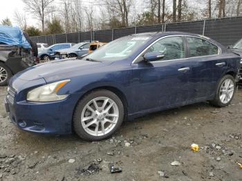  Salvage Nissan Maxima