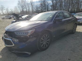  Salvage Acura TLX