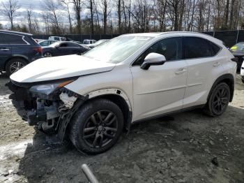  Salvage Lexus NX