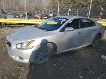  Salvage Nissan Maxima