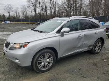  Salvage Lexus RX