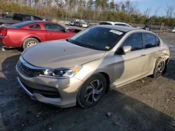  Salvage Honda Accord