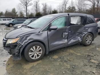  Salvage Honda Odyssey