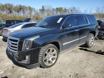  Salvage Cadillac Escalade