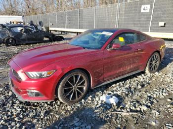  Salvage Ford Mustang