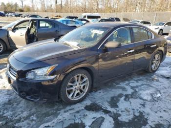  Salvage Nissan Maxima