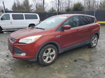  Salvage Ford Escape