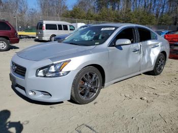  Salvage Nissan Maxima