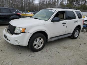  Salvage Ford Escape