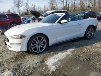  Salvage Ford Mustang