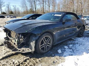  Salvage Ford Mustang