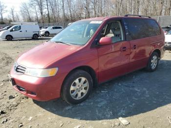  Salvage Honda Odyssey