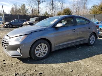  Salvage Hyundai ELANTRA