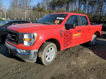  Salvage Ford F-150