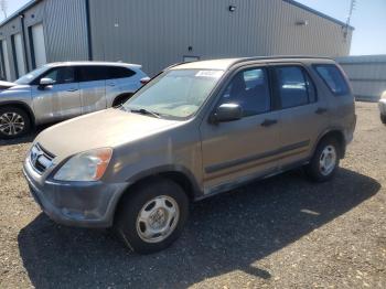 Salvage Honda Crv