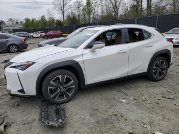  Salvage Lexus Ux