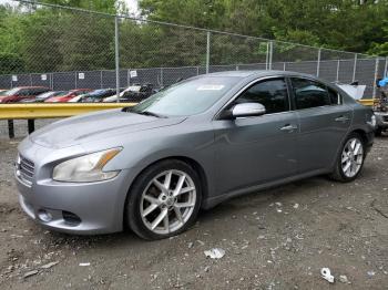  Salvage Nissan Maxima