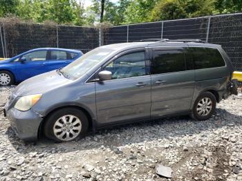  Salvage Honda Odyssey